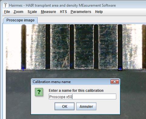 Camera calibration with a ruler